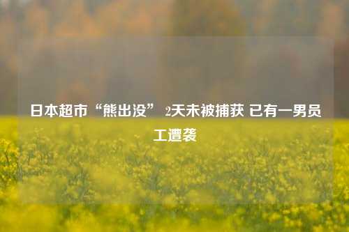 日本超市“熊出没” 2天未被捕获 已有一男员工遭袭