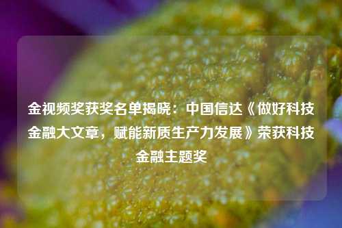 金视频奖获奖名单揭晓：中国信达《做好科技金融大文章，赋能新质生产力发展》荣获科技金融主题奖