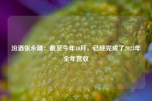 汾酒张永踊：截至今年10月，已经完成了2023年全年营收