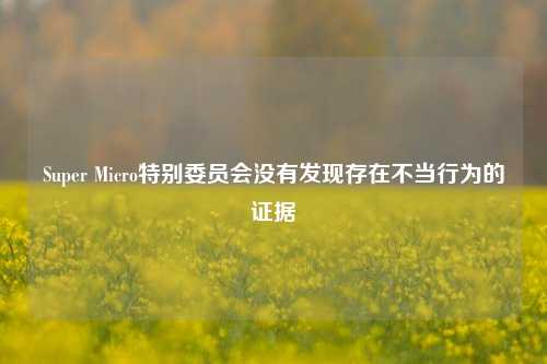 Super Micro特别委员会没有发现存在不当行为的证据