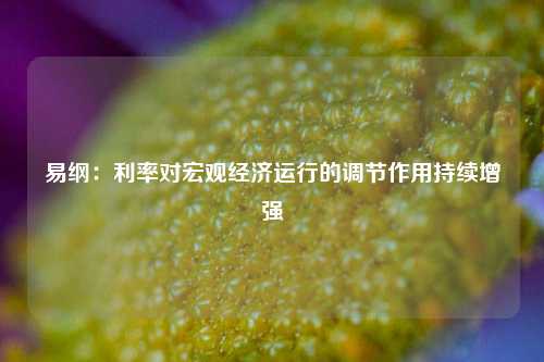 易纲：利率对宏观经济运行的调节作用持续增强