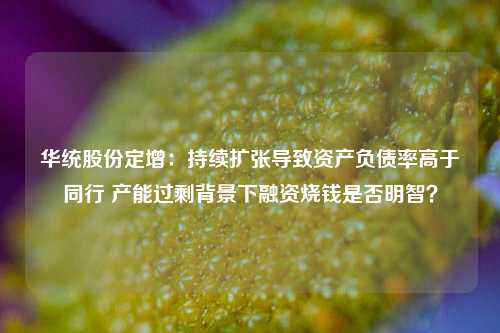 华统股份定增：持续扩张导致资产负债率高于同行 产能过剩背景下融资烧钱是否明智？