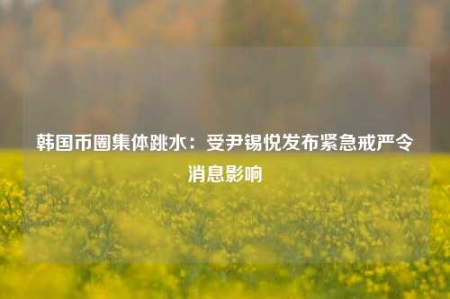 韩国币圈集体跳水：受尹锡悦发布紧急戒严令消息影响