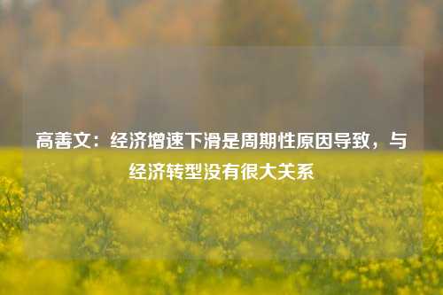 高善文：经济增速下滑是周期性原因导致，与经济转型没有很大关系