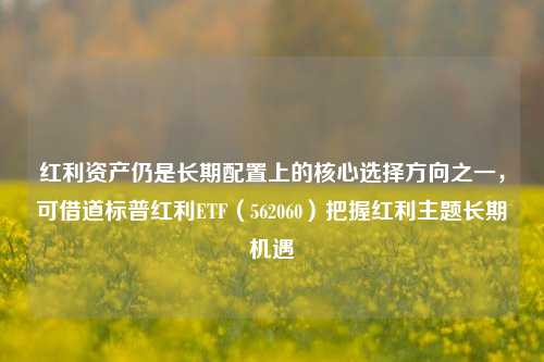 红利资产仍是长期配置上的核心选择方向之一，可借道标普红利ETF（562060）把握红利主题长期机遇