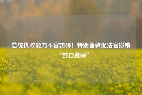 总统执政能力不容妨碍！特朗普敦促法官撤销“封口费案”