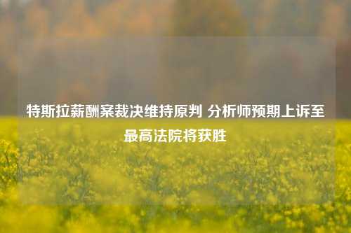 特斯拉薪酬案裁决维持原判 分析师预期上诉至最高法院将获胜