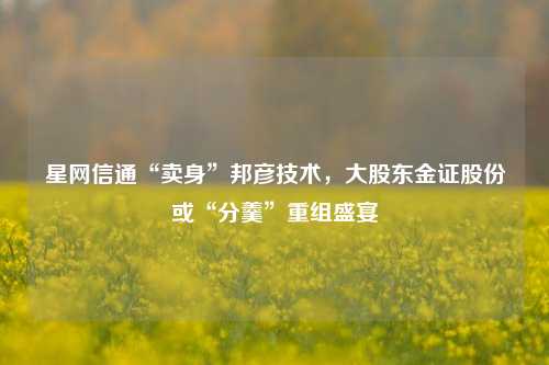 星网信通“卖身”邦彦技术，大股东金证股份或“分羹”重组盛宴