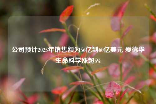 公司预计2025年销售额为56亿到60亿美元 爱德华生命科学涨超5%