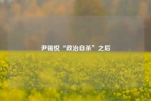 尹锡悦“政治自杀”之后