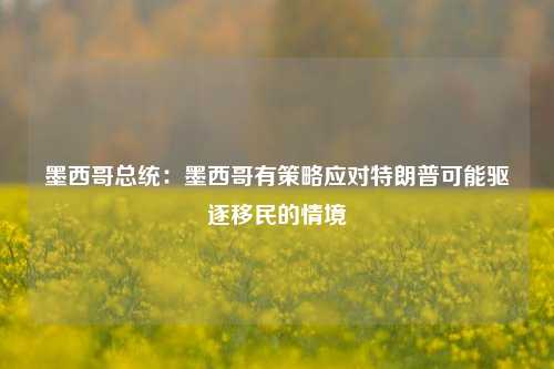 墨西哥总统：墨西哥有策略应对特朗普可能驱逐移民的情境