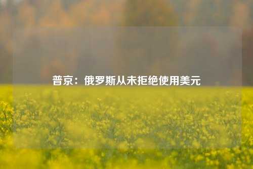 普京：俄罗斯从未拒绝使用美元