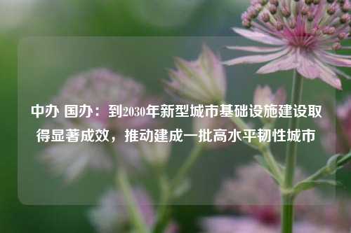 中办 国办：到2030年新型城市基础设施建设取得显著成效，推动建成一批高水平韧性城市