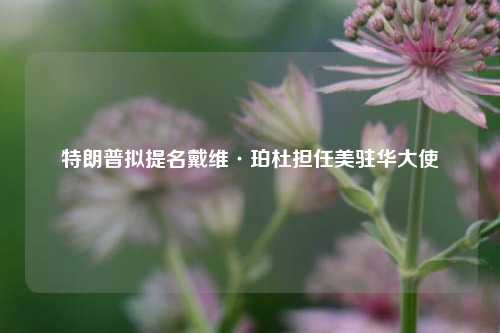 特朗普拟提名戴维·珀杜担任美驻华大使