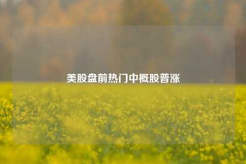 美股盘前热门中概股普涨