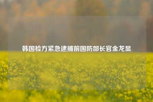 韩国检方紧急逮捕前国防部长官金龙显