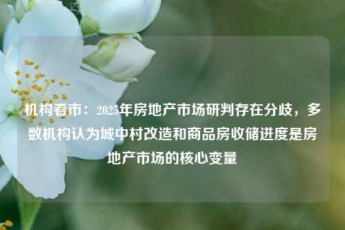 机构看市：2025年房地产市场研判存在分歧，多数机构认为城中村改造和商品房收储进度是房地产市场的核心变量