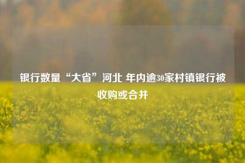 银行数量“大省”河北 年内逾30家村镇银行被收购或合并