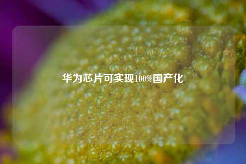 华为芯片可实现100%国产化