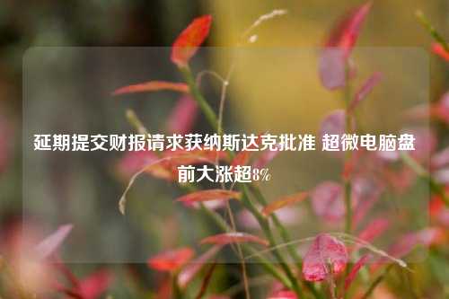 延期提交财报请求获纳斯达克批准 超微电脑盘前大涨超8%