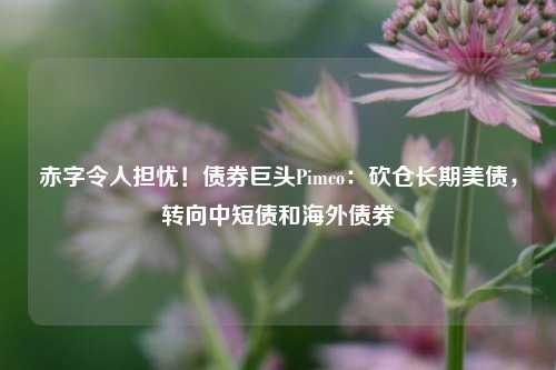 赤字令人担忧！债券巨头Pimco：砍仓长期美债，转向中短债和海外债券