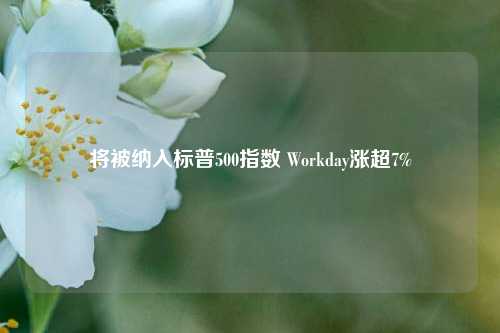 将被纳入标普500指数 Workday涨超7%