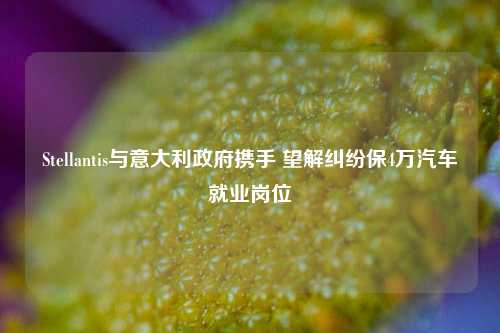 Stellantis与意大利政府携手 望解纠纷保4万汽车就业岗位