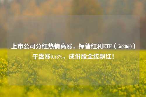 上市公司分红热情高涨，标普红利ETF（562060）午盘涨0.53%，成份股全线飘红！